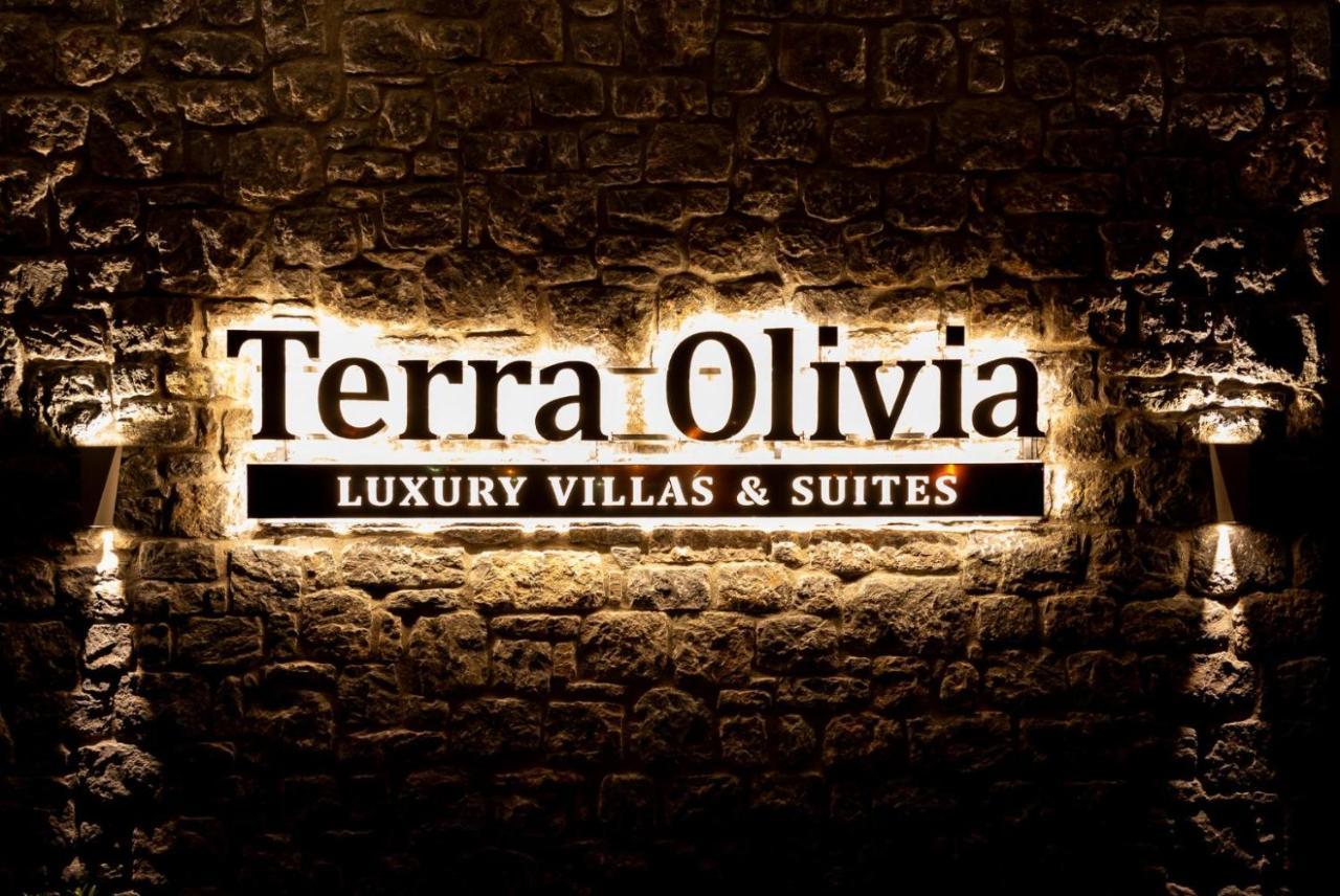 Villa Terra Olivia Paliouri Exterior photo